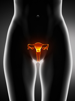 Endometrial Ablation in Jackson, MS